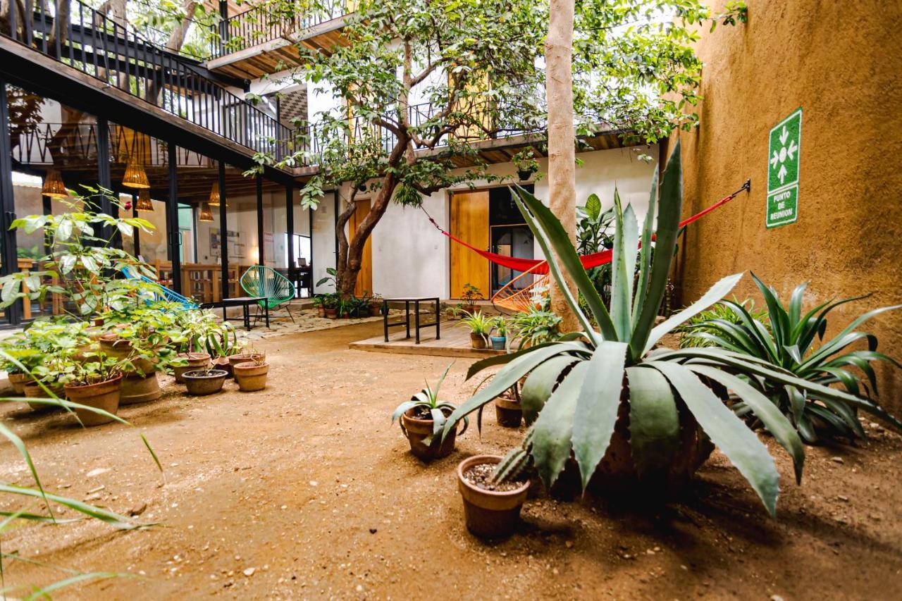 Hotel Con Corazon Oaxaca Exterior foto