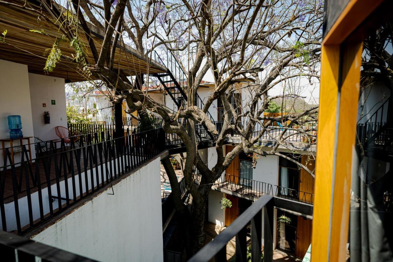 Hotel Con Corazon Oaxaca Exterior foto