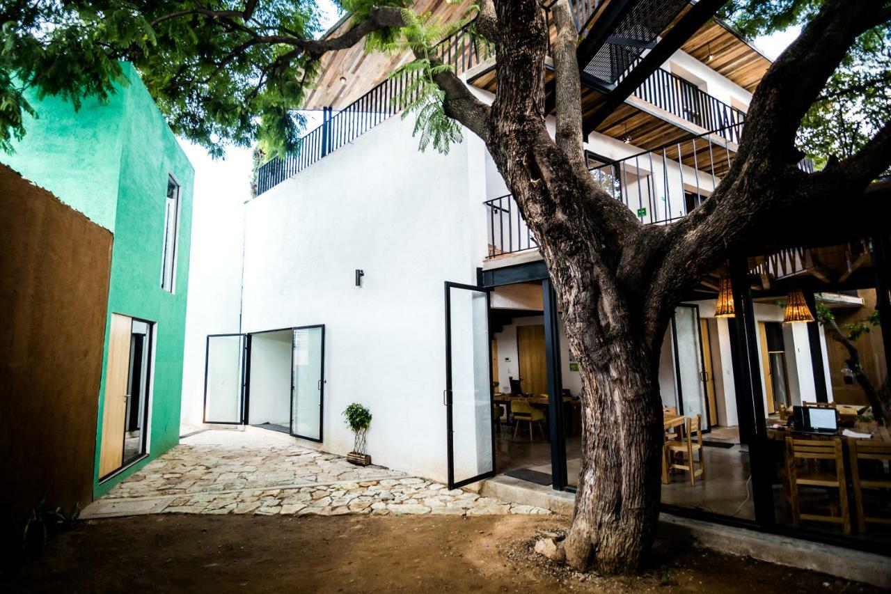 Hotel Con Corazon Oaxaca Exterior foto